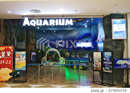 Vincom 水族館 / ベトナム ハノイ Times City 87900330