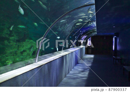 Vincom 水族館 / ベトナム ハノイ Times City Vincom 水族館 / ベトナム ハノイ Times City 87900337