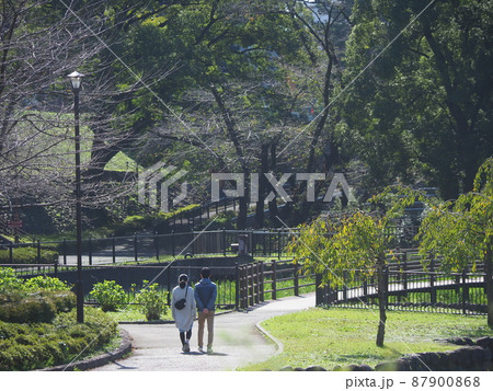 のどかな公園の風景(前橋公園) のどかな公園の風景(前橋公園) 87900868