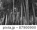 竹林2モノクロ 87900900