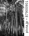竹林3モノクロ 87900901