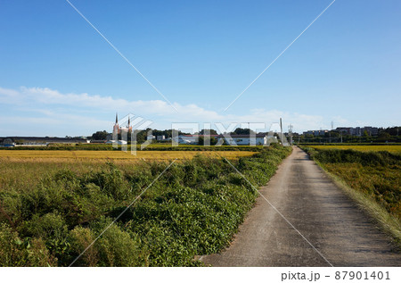 道 稲 農村 87901401