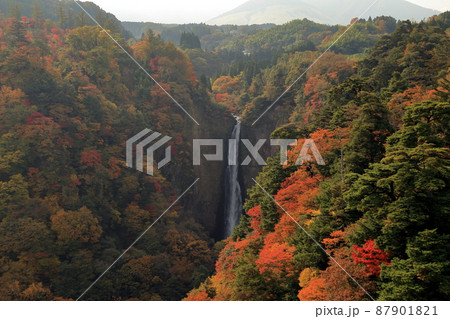 秋の紅葉の九重夢大吊橋 ( 震動の滝 方面 ) 秋の紅葉の九重夢大吊橋 ( 震動の滝 方面 ) 87901821