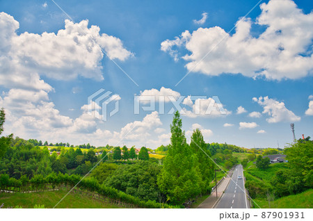 【大阪府】7月・自然に囲まれたテーマパーク《緑のミュージアム　ハーベストの丘》 87901931