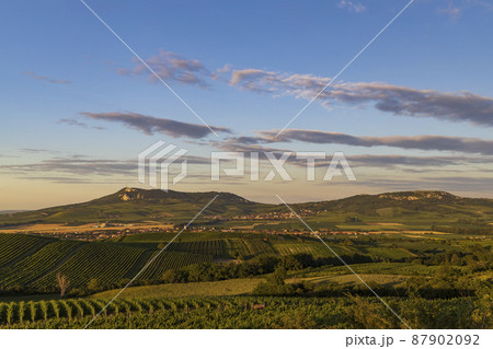 Vineyards under Palava near Dolni Dunajovice, Southern Moravia, Czech Republic Vineyards under Palava near Dolni Dunajovice, Southern Moravia, Czech Republic 87902092