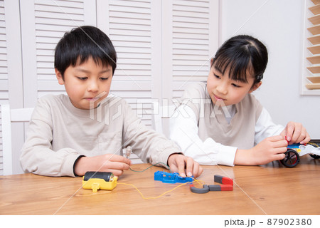 自宅で自由研究をする小学生の男の子と女の子 自宅で自由研究をする小学生の男の子と女の子 87902380
