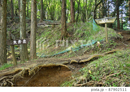足柄山地の矢倉岳 山伏平の峠道 足柄山地の矢倉岳 山伏平の峠道 87902511