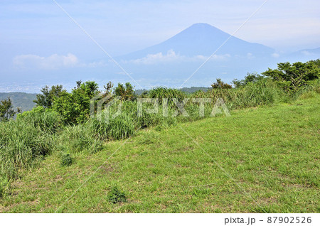 足柄山地の矢倉岳山頂　夏の富士山を眺める 87902526