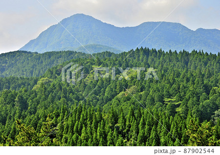 足柄城址より金時山を望む 87902544