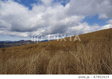 山梨県山中湖村の景勝地のパノラマ大の早春 山梨県山中湖村の景勝地のパノラマ大の早春 87902624