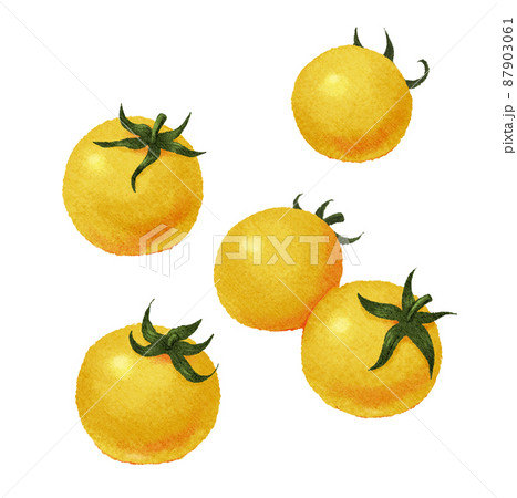 黄色のミニトマトのイラスト素材（手描き風） 87903061