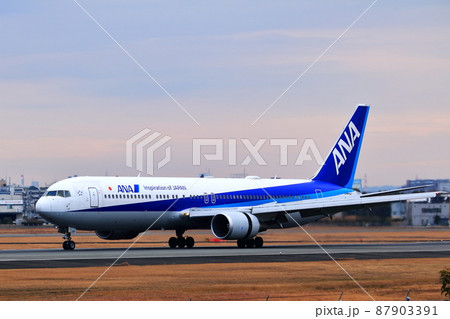 大阪国際空港　ANA　飛行機　着陸　スカイパーク 87903391