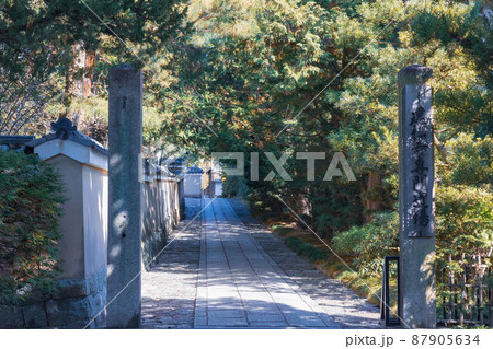 建仁寺専門道場「京都観光」 建仁寺専門道場「京都観光」 87905634