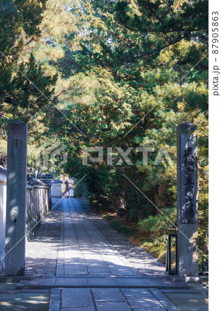 建仁寺専門道場「京都観光」 87905863