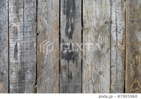 Old pine wood, can be used as background, old wood grain texture Old pine wood, can be used as background, old wood grain texture 87905960