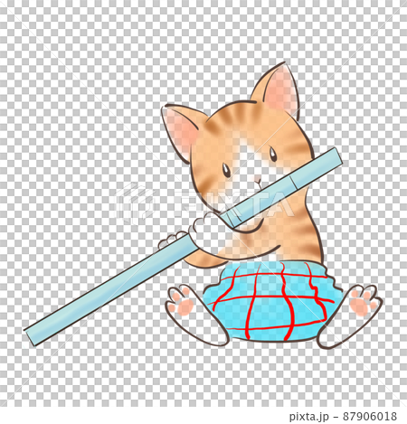 Flute cat-4 87906018