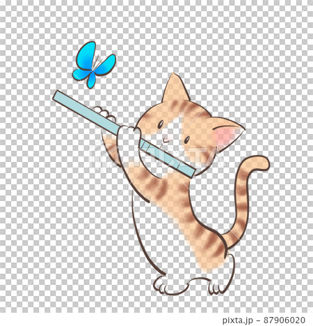 Flute cat-5 Flute cat-5 87906020