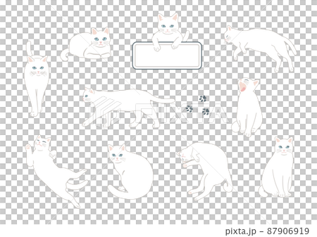 白貓插圖集 87906919