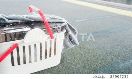 キャリーバッグの中から外を覗く猫 - ペットを連れた移動・旅行・お出かけのイメージ素材 キャリーバッグの中から外を覗く猫 - ペットを連れた移動・旅行・お出かけのイメージ素材 87907255