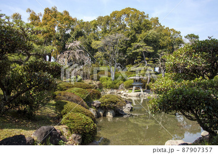 春の日本庭園(大阪城公園) 春の日本庭園(大阪城公園) 87907357