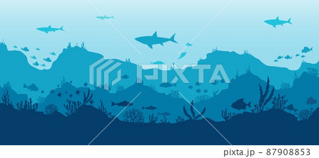 Underwater scenery panorama Underwater scenery panorama 87908853