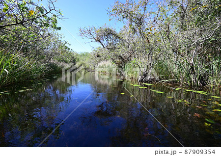 Turner River in Big Cypress National Preserve, Florida. Turner River in Big Cypress National Preserve, Florida. 87909354