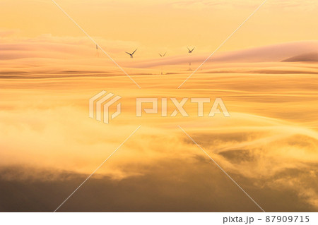 メボンサン 雲海 朝 87909715