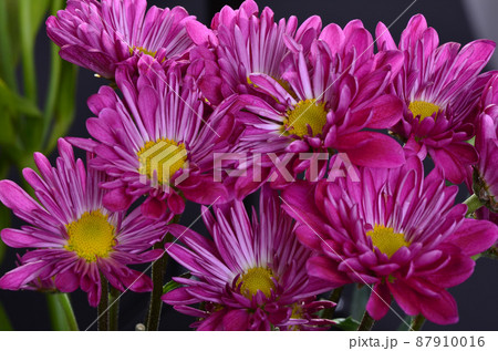 Floral arrangement 87910016