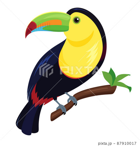 サンショクキムネオオハシのイラスト 87910017