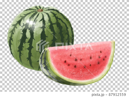 Hand drawn watermelon 87912559