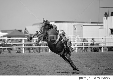 Bareback Bucking Bronc Riding At Country Rodeo Bareback Bucking Bronc Riding At Country Rodeo 87915095