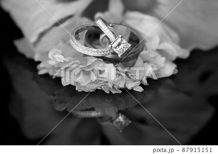 Diamond Wedding And Engagement Rings Diamond Wedding And Engagement Rings 87915151