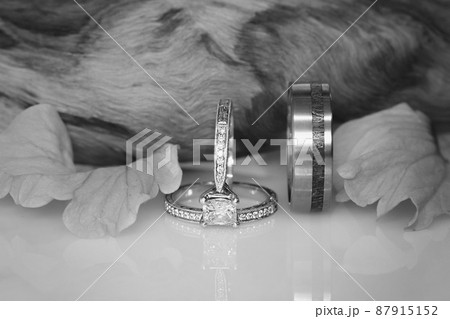 Diamond Wedding And Engagement Rings 87915152