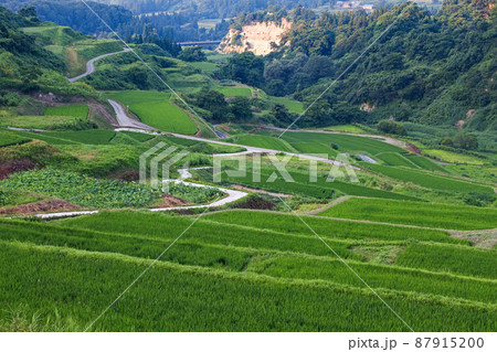 山形県/ 緑鮮やかな夏の「四ヶ村の棚田」（四ケ村の棚田・豊牧の棚田）日本の棚田100選 87915200