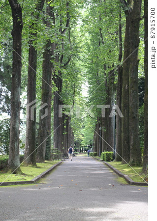 栃木県中央公園 栃木県中央公園 87915700
