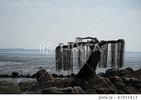 甕津郡 海岸 景色 87915813
