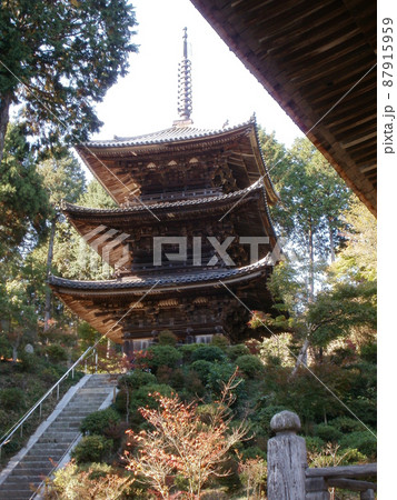 常楽寺　三重塔　滋賀県湖南市 87915959
