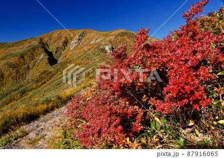 紅葉と越後駒ヶ岳山頂 紅葉と越後駒ヶ岳山頂 87916065