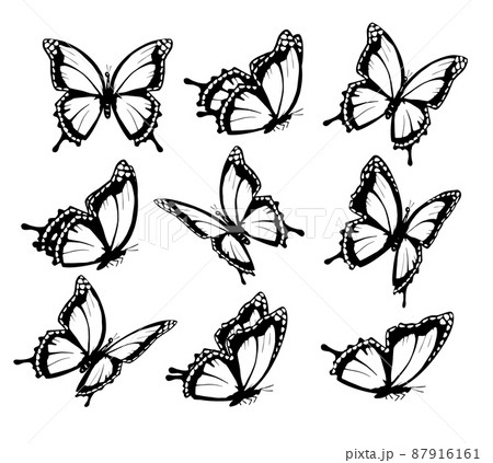 how to draw a butterfly flying