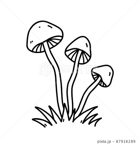 Mushrooms in the grass isolated on white background Mushrooms in the grass isolated on white background 87916289