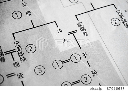 血縁関係の範囲を表す等親図、相続イメージ 87916633