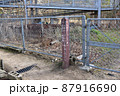 六甲山系油コブシ登山口 87916690