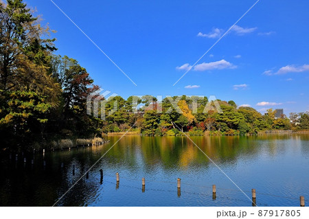 東京都大田区　洗足池 87917805