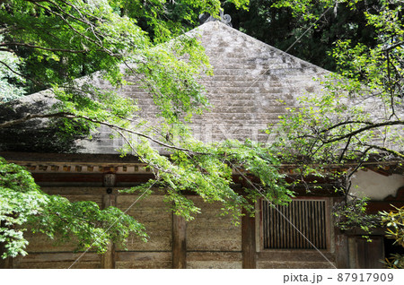 室生寺　金堂　奈良県宇陀市 87917909