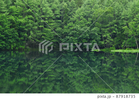 長野　奥蓼科　御射鹿池 87918735