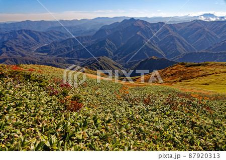 越後駒ヶ岳山頂から見る荒沢岳 越後駒ヶ岳山頂から見る荒沢岳 87920313