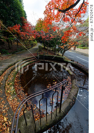 港北ニュータウン・緑道の紅葉 87920478