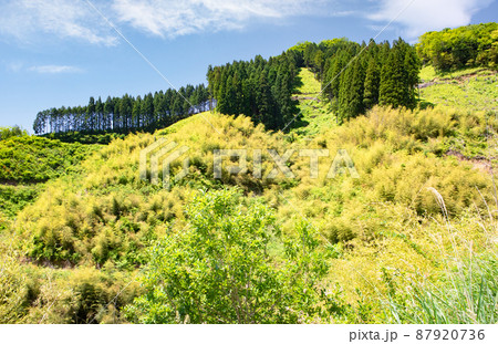 中国山地の綺麗な風景をご覧ください。植林管理された自然保護の現場でもあります。島根県 87920736