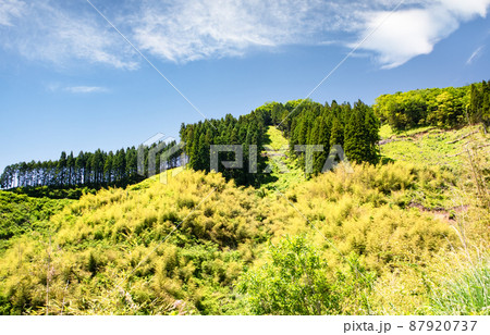 中国山地の綺麗な風景をご覧ください。植林管理された自然保護の現場でもあります。島根県 中国山地の綺麗な風景をご覧ください。植林管理された自然保護の現場でもあります。島根県 87920737