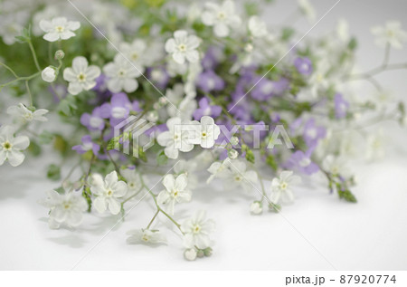 白と紫の花の背景 87920774